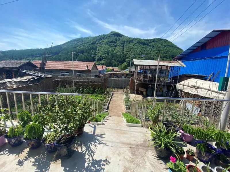 走向我们的小康生活1000字,走向我们的小康生活主题报道