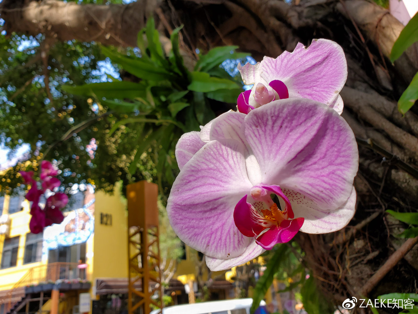 三星galaxys10+还值得购买吗,三星galaxys10+什么版的好