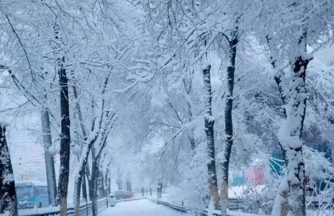 新疆伊犁几月份开始降温,伊犁州降雪降温来袭