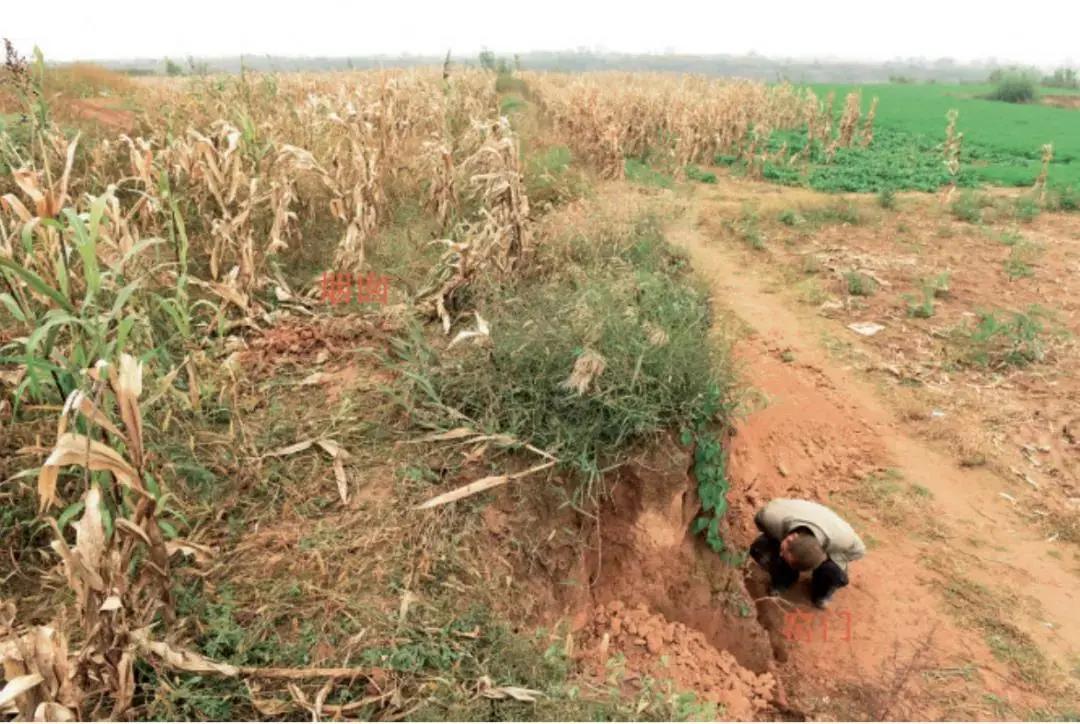 古老烧木炭窑的结构,古代木炭窑