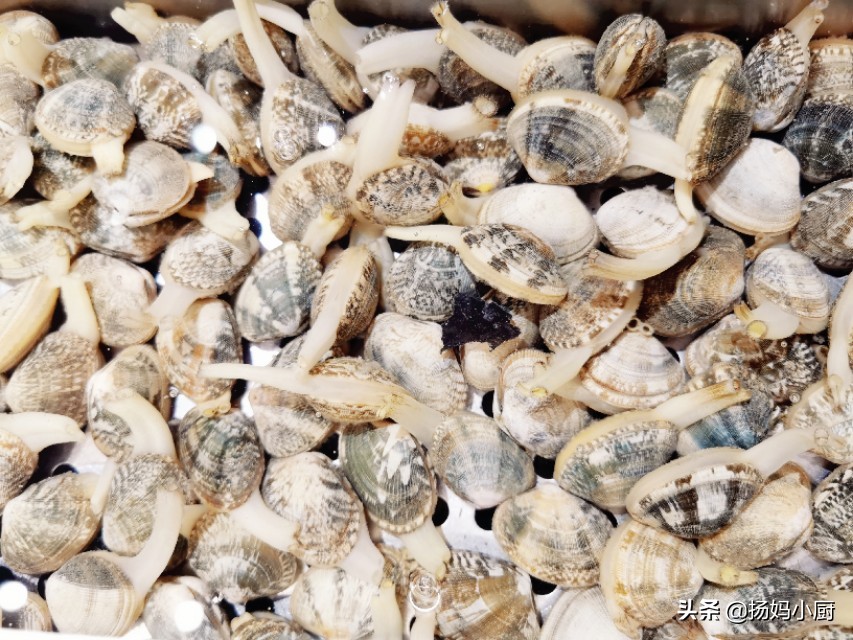 赶海赶的花甲没有海水怎么办,赶海抓的花甲怎么处理