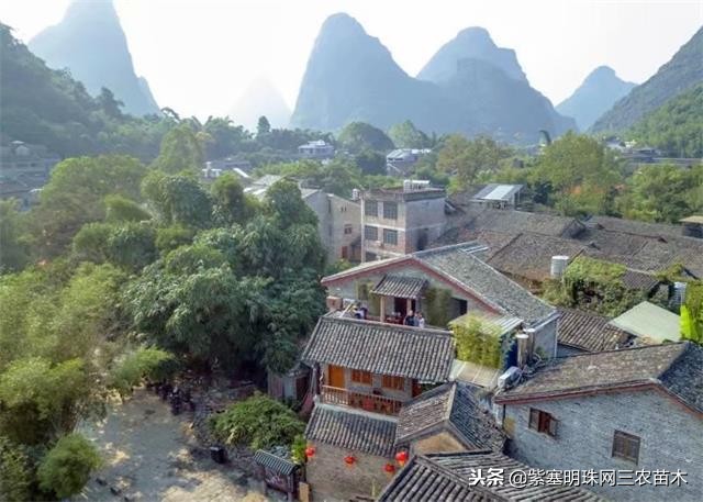 黄姚古镇大黄牛客栈团购优惠,贺州市昭平县黄姚古镇大黄牛客栈