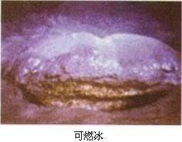 第十单元酸碱盐知识点,中考化学第十单元酸碱盐