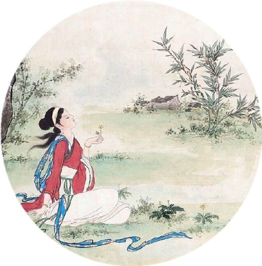 瑗挎眽鎵嶅コ鍗撴枃鍚涚殑鏁呬簨瑙嗛,瑗挎眽鎵嶅コ鍗撴枃鍚涚殑鎯呮劅鏁呬簨