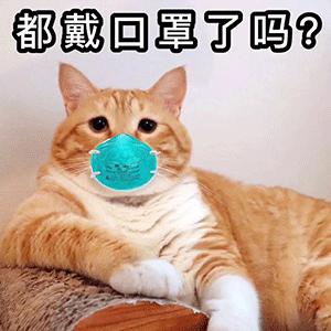 宅着没洗头？“洗头发”不是washhair哦