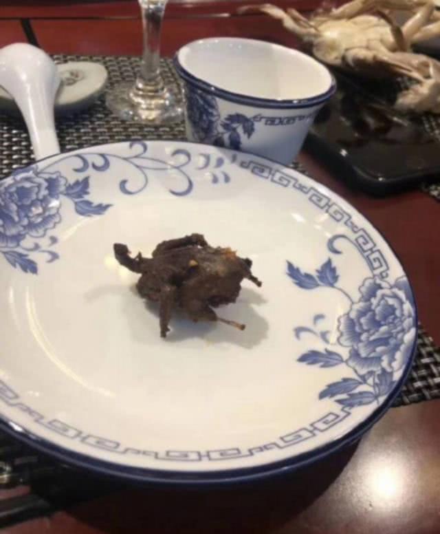 最奇葩的梦话是什么,你听说的最搞笑的梦话