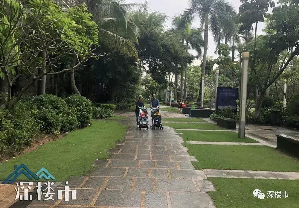 深度解析深圳房地产,深圳房地产行情会越来越差吗