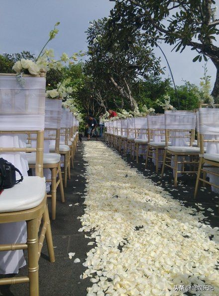 明星婚礼现场布置,张馨予婚礼现场金碧辉煌