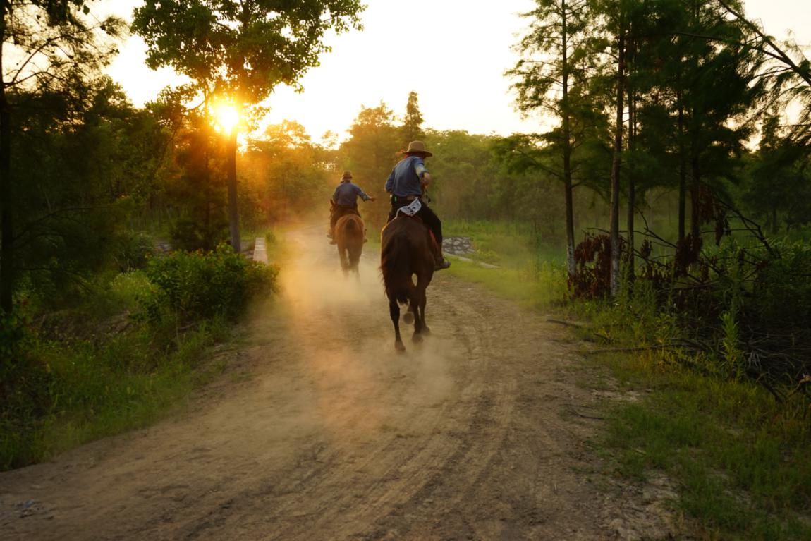开长城炮皮卡畅享自由,身居北京也能过西部牛仔生活
