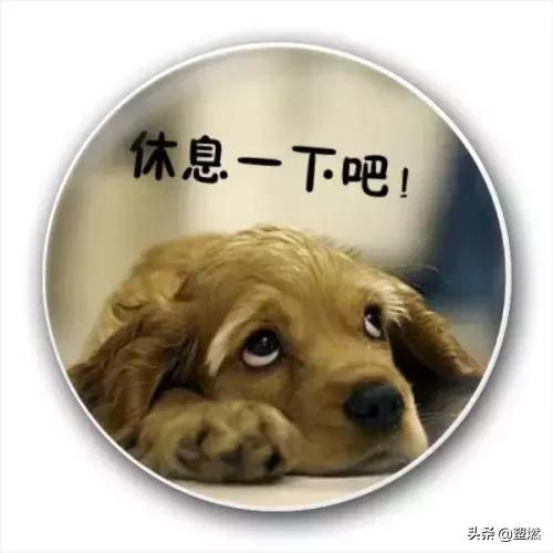 一周练一次都练什么,一周练几次才能进步