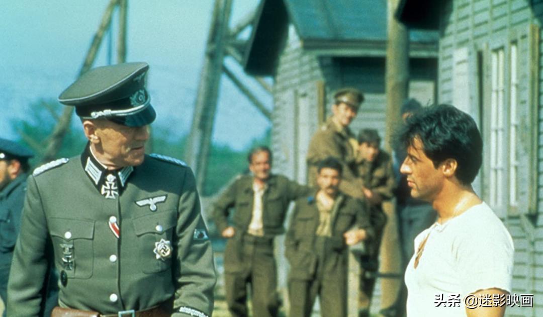 贝利史泰龙主演的电影,贝利和史泰龙合作的电影