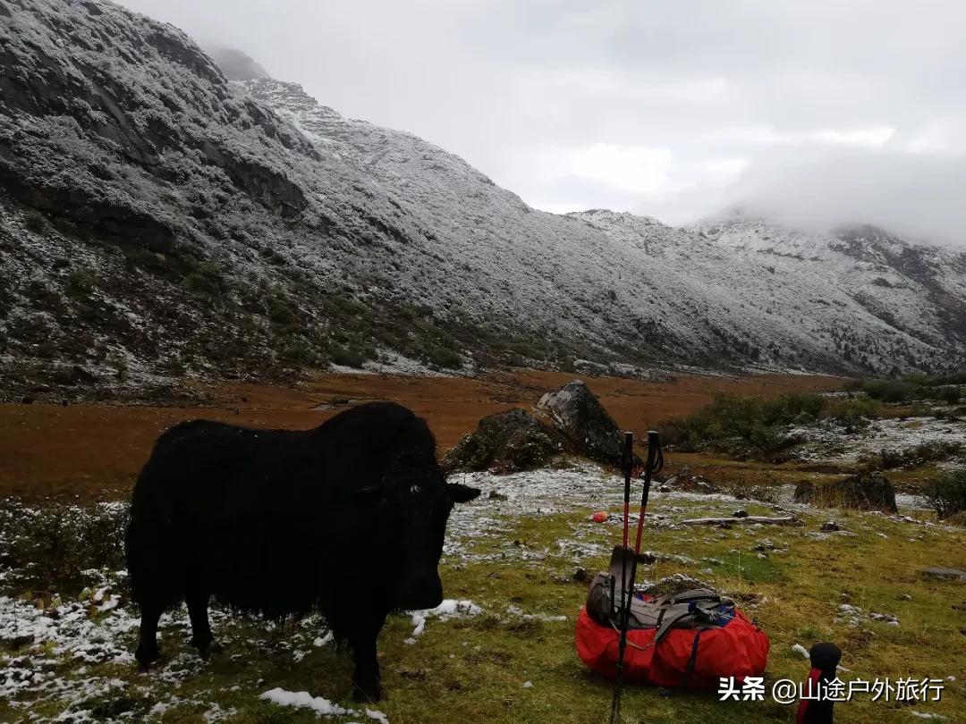 步步惊心的一天,步步惊心12剧情