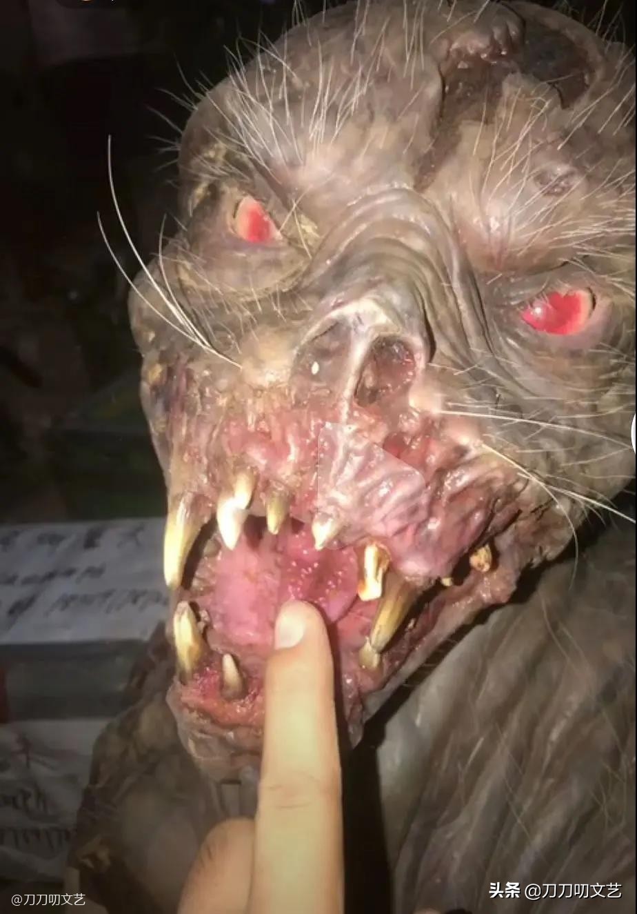 昆仑神宫潘粤明剧照,昆仑神宫潘粤明预告片