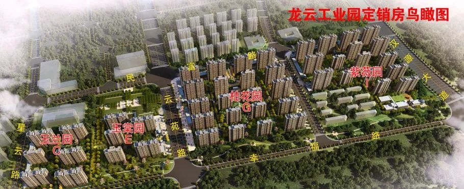 新盛，一个“全能型选手”的徐州进化史