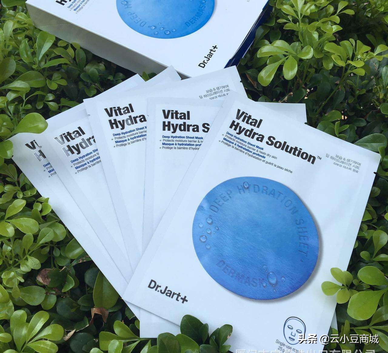 别笑了，你的粉都掉了