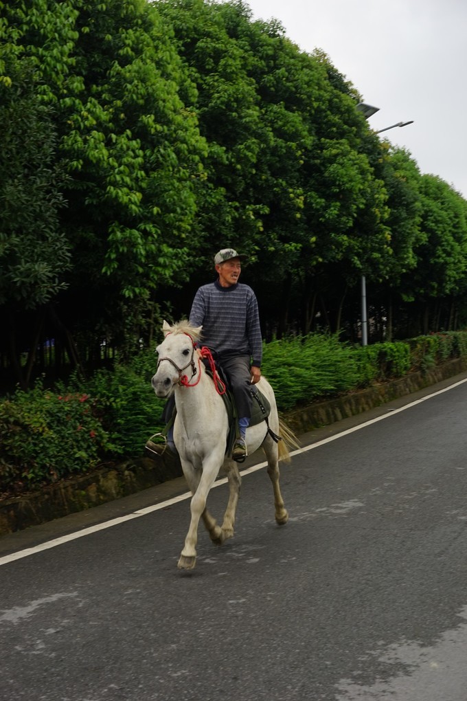 重庆玉峰山观景,重庆玉峰山是哪里