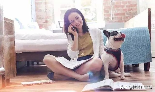 “萌宠经济”—未来十年最赚钱的新风口