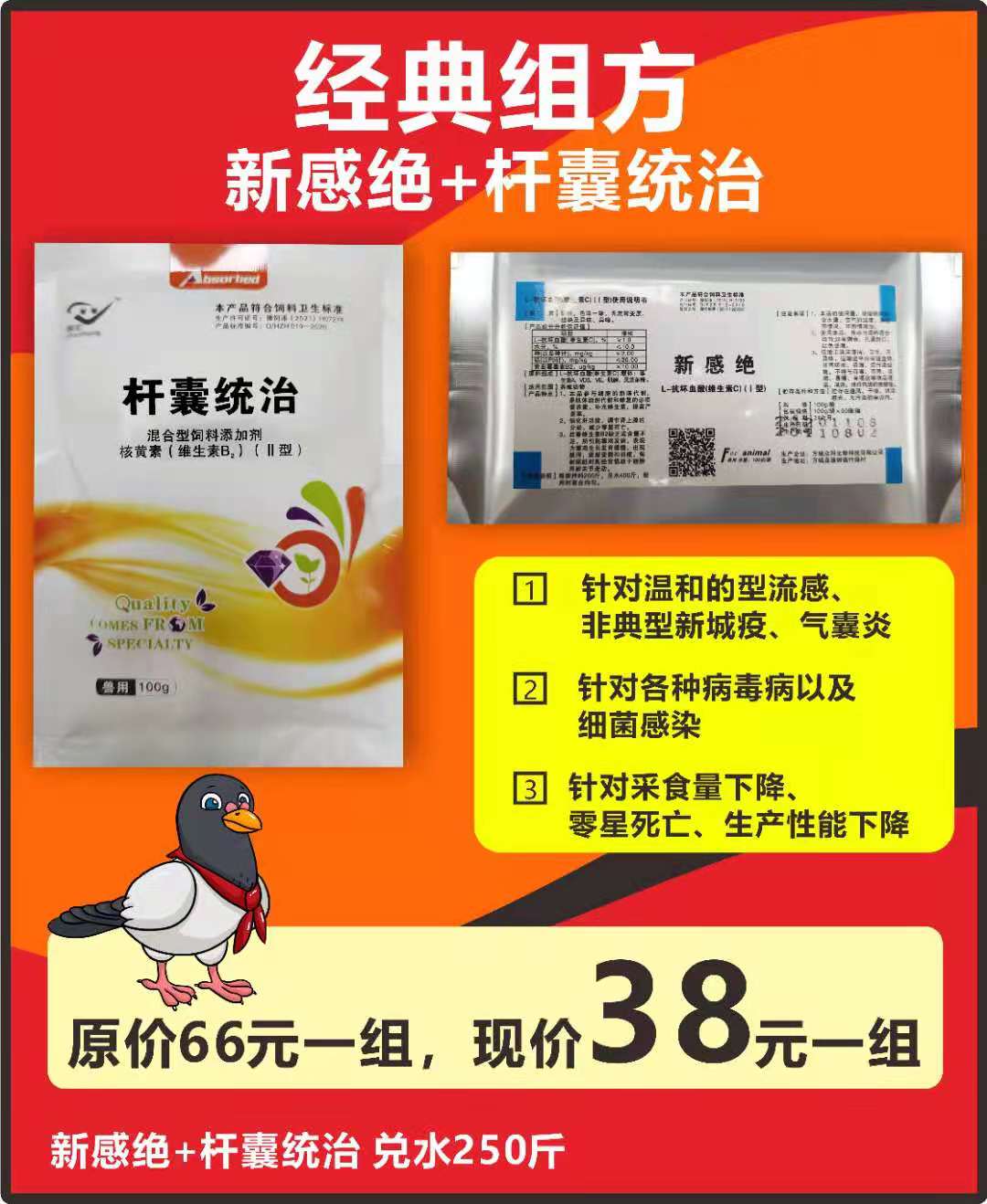 鸽子粪便带水正常吗,鸽子大便带水怎么回事