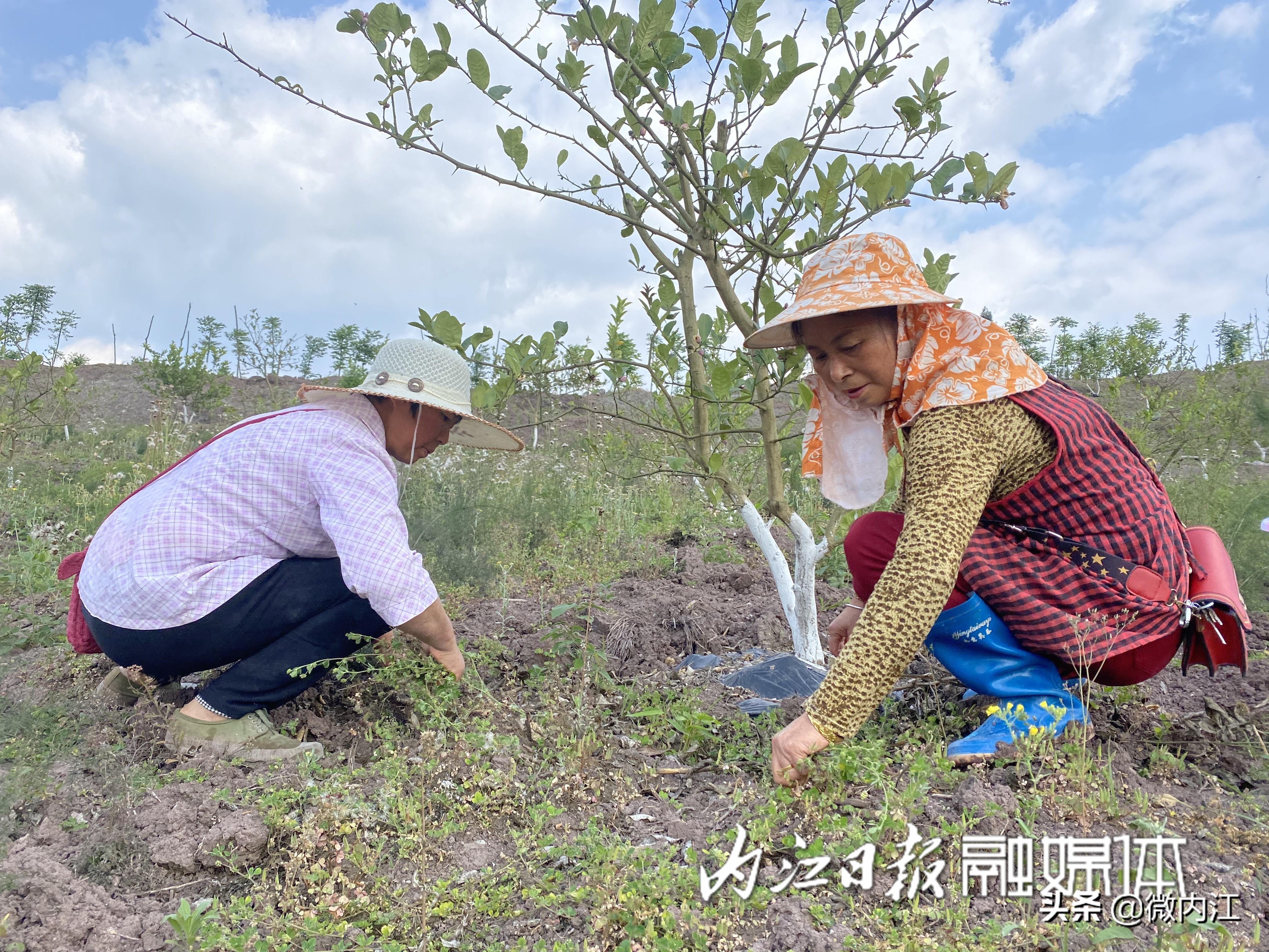 美丽乡村威远,威远美丽的风光