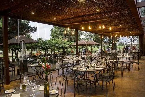 智利十大的酒庄排名榜最新,智利葡萄酒十大酒庄