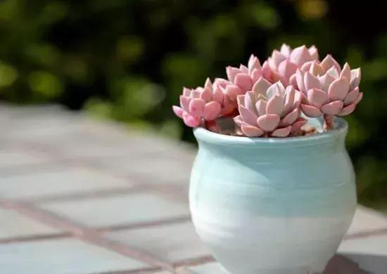 商业化的原罪?《吞食孔明传》:十年热忱换来的一场风波