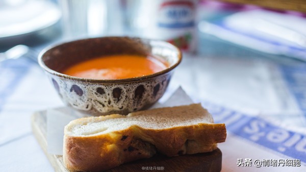 邮轮游选择哪个游轮好,邮轮旅游全攻略公主号