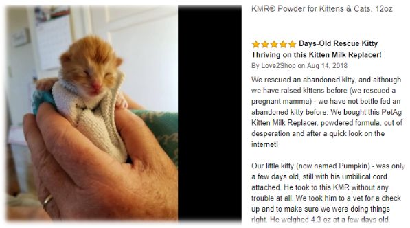 谁在证明PetAg美国倍酷奶粉的强大口碑？来自全球用户的真实反馈