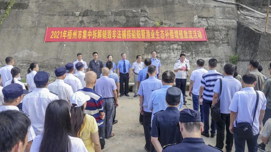 我为群众办实事法院工作报道,我为群众办实事与乡村振兴相结合