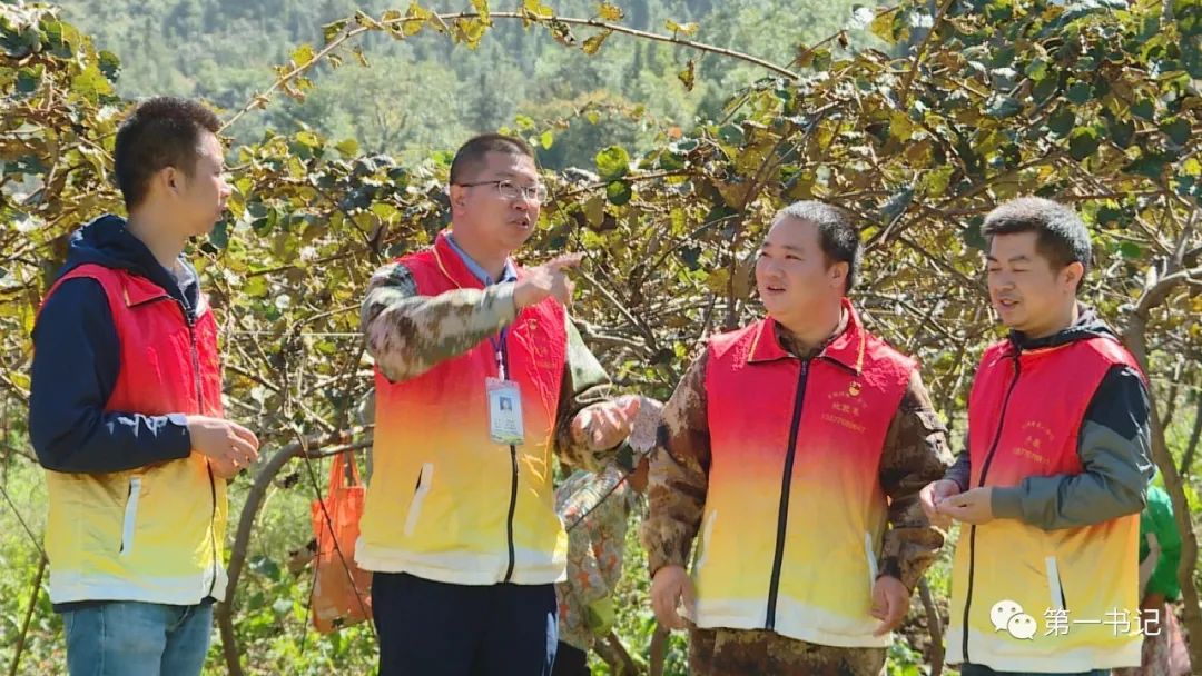 食用菌产业为贫困户撑起致富伞,菇中精品椴木香菇