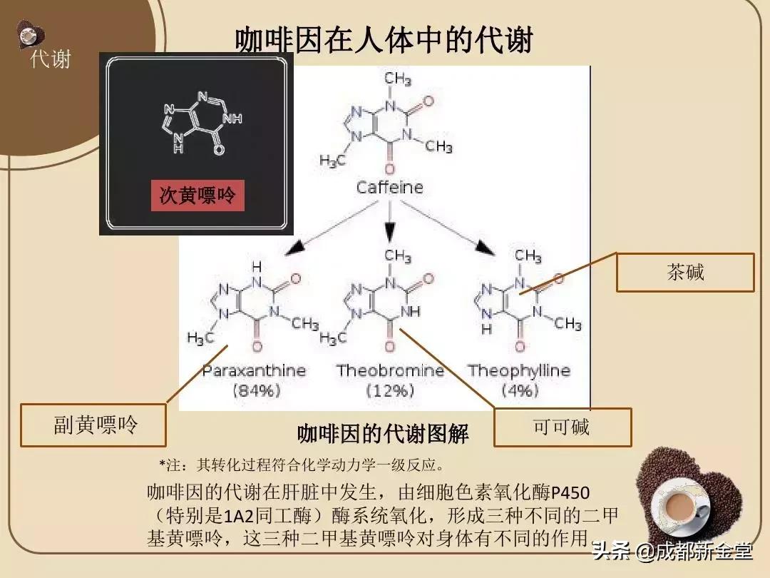 瘦腿霜里的哪些成分燃烧脂肪,瘦腿霜真的有用吗会不会有副作用