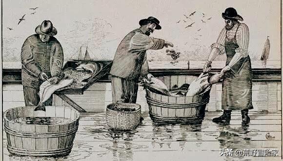 如何买到真正的大西洋鳕鱼,十大最正宗的鳕鱼