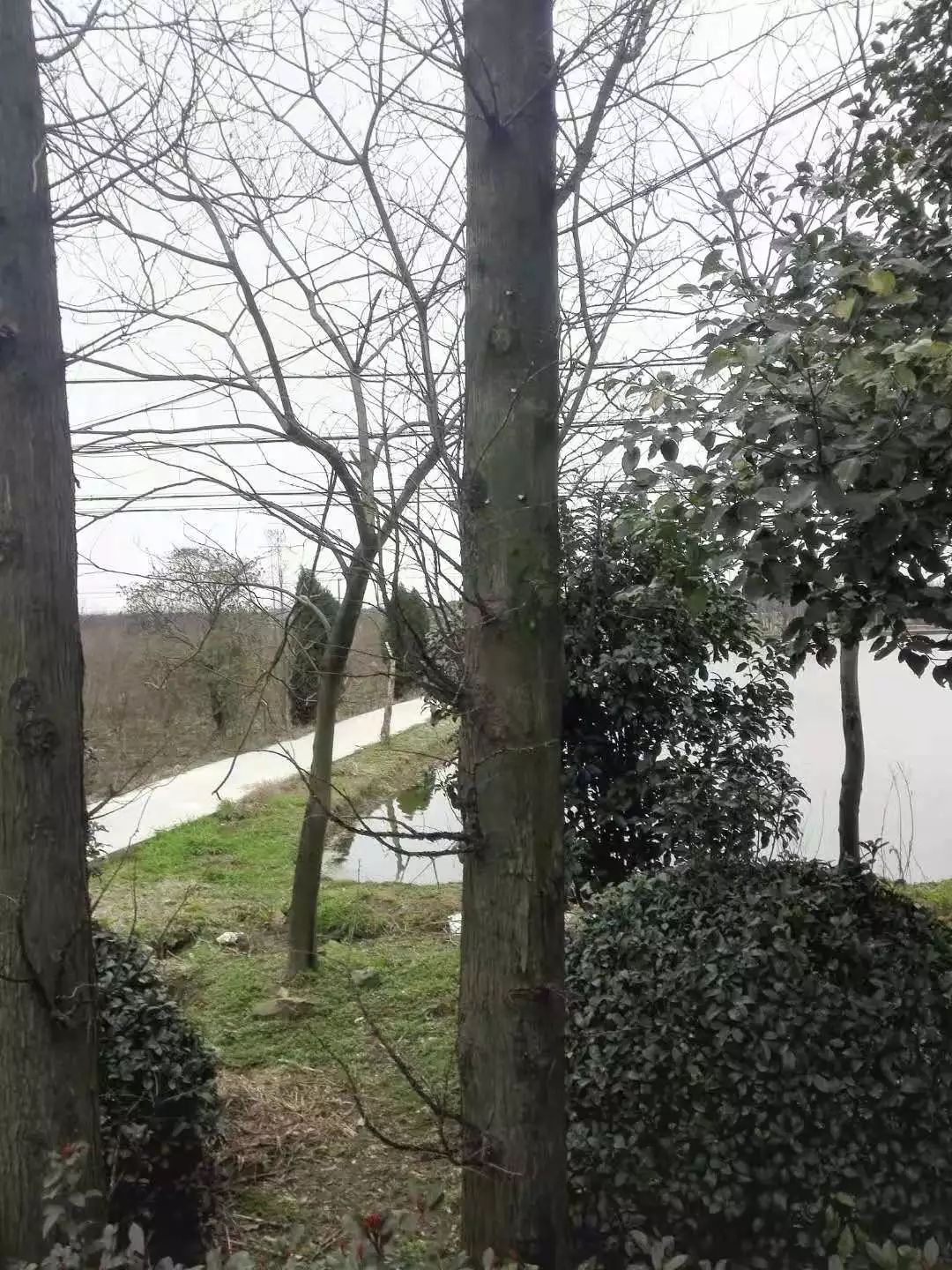 杭州武林门北到新市,杭州周边古镇一日游