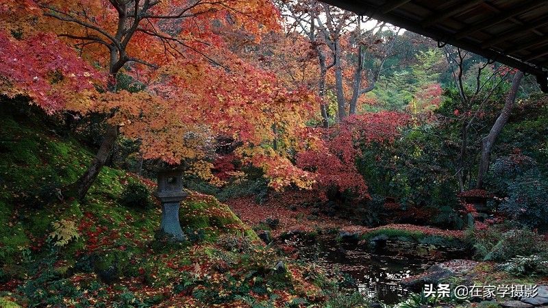 卡色uv镜和偏振镜哪个好,uv镜cpl偏光镜