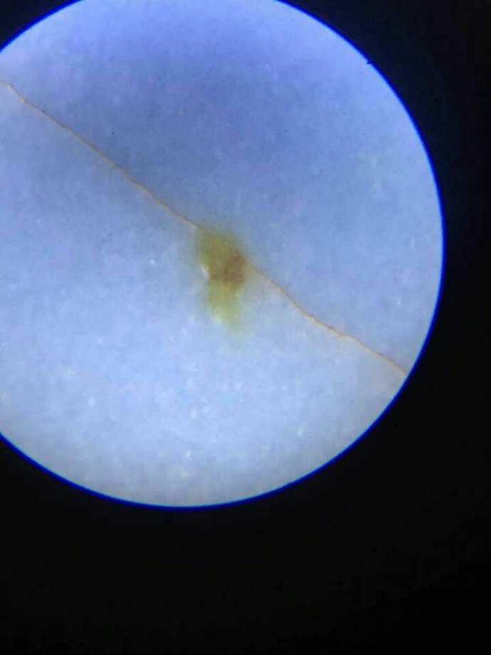 汝窑的最全鉴定方法,福建汝窑河南汝窑景德镇汝窑区别