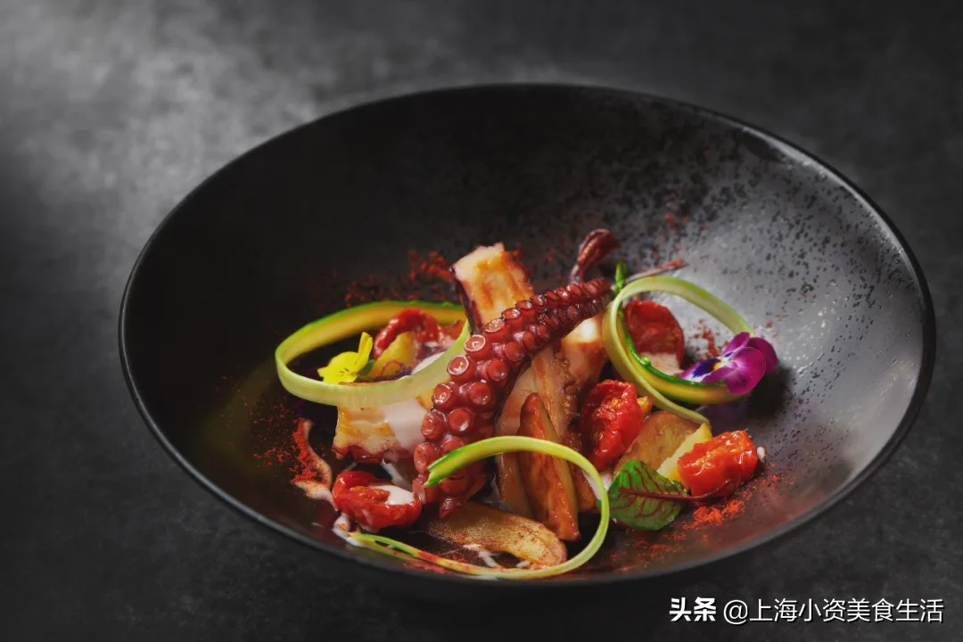 魔都薅羊毛日记,2022魔都高段位薅羊毛指南