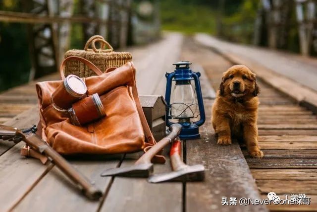 高颜值双肩包90分,20款好看又实用的女士双肩包推荐