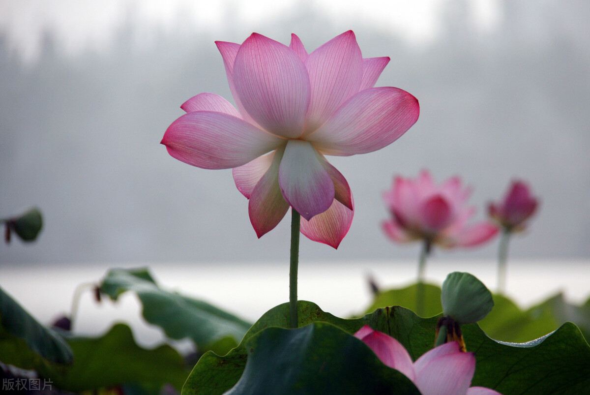 女子励志霸气的座右铭,学生座右铭励志简短霸气短句