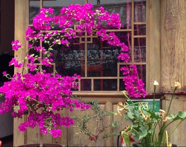 快速适应环境的方法,努力适应不适应的环境