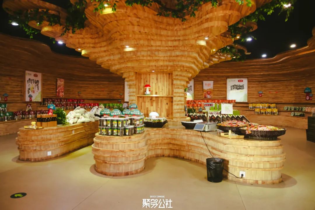 重游中国最美乡村,带你游浙江最美乡村