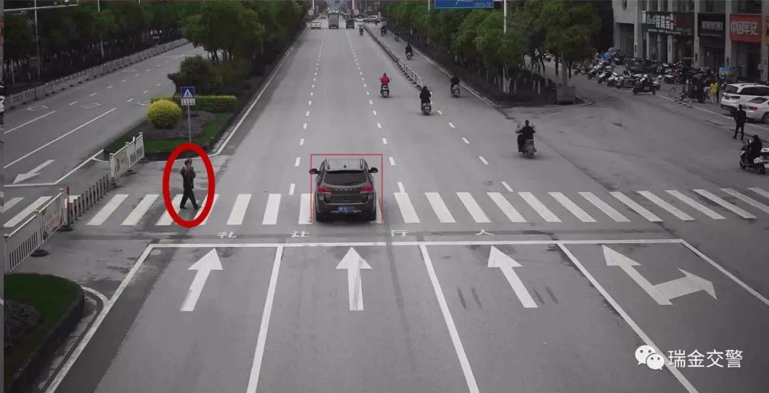 瑞金一大批车主被曝光!看看你“上榜”了吗?