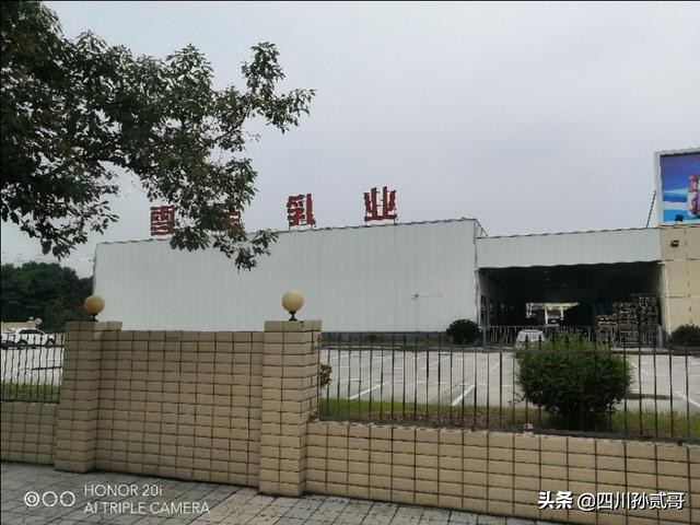 雪宝奶牛场,参观雪兰牛奶工厂心得体会