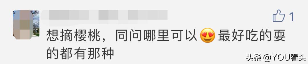 成都市恩桃儿,恩桃成都