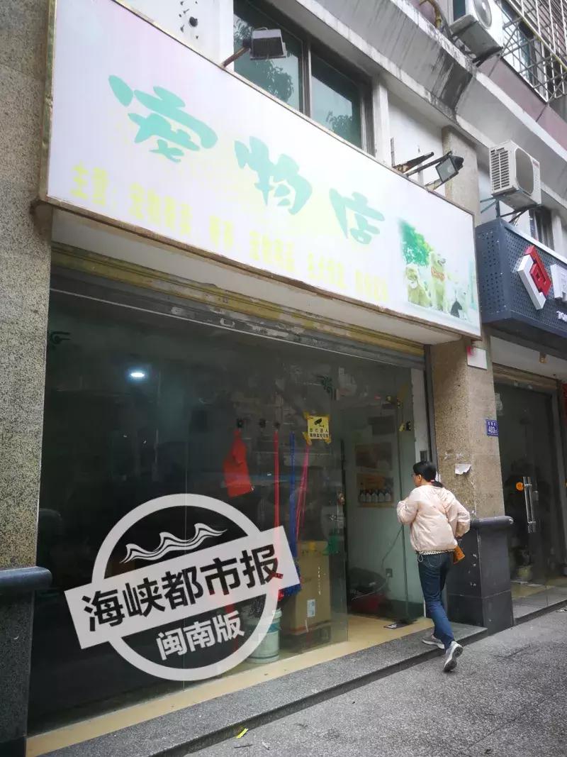 2000买的狗三天就死了,1200元买一只宠物狗