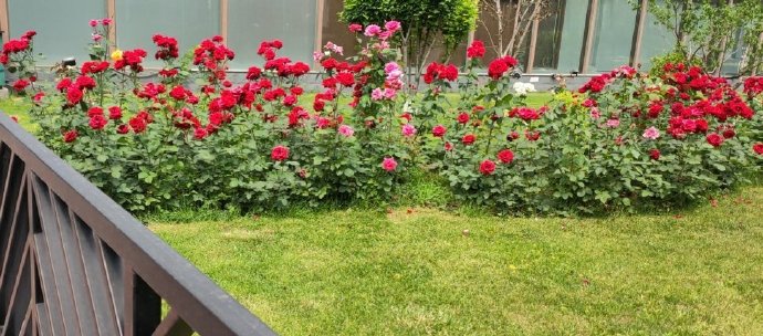 看到箱子就想舔？摆脱不掉的游戏后遗症，看你中几个