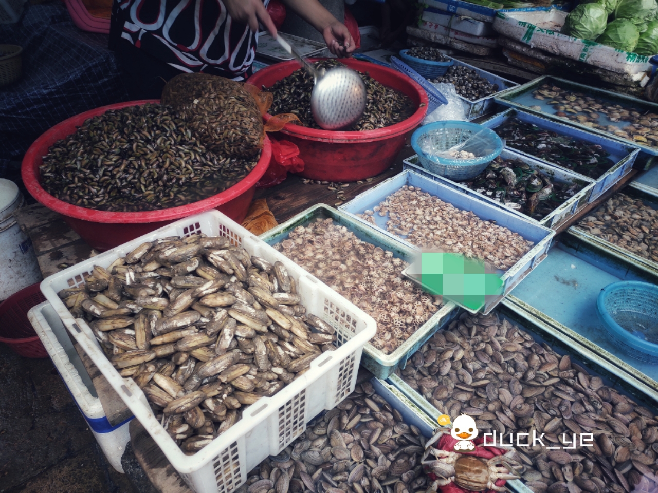 厦门八市的海鲜,厦门本地人海鲜农贸市场