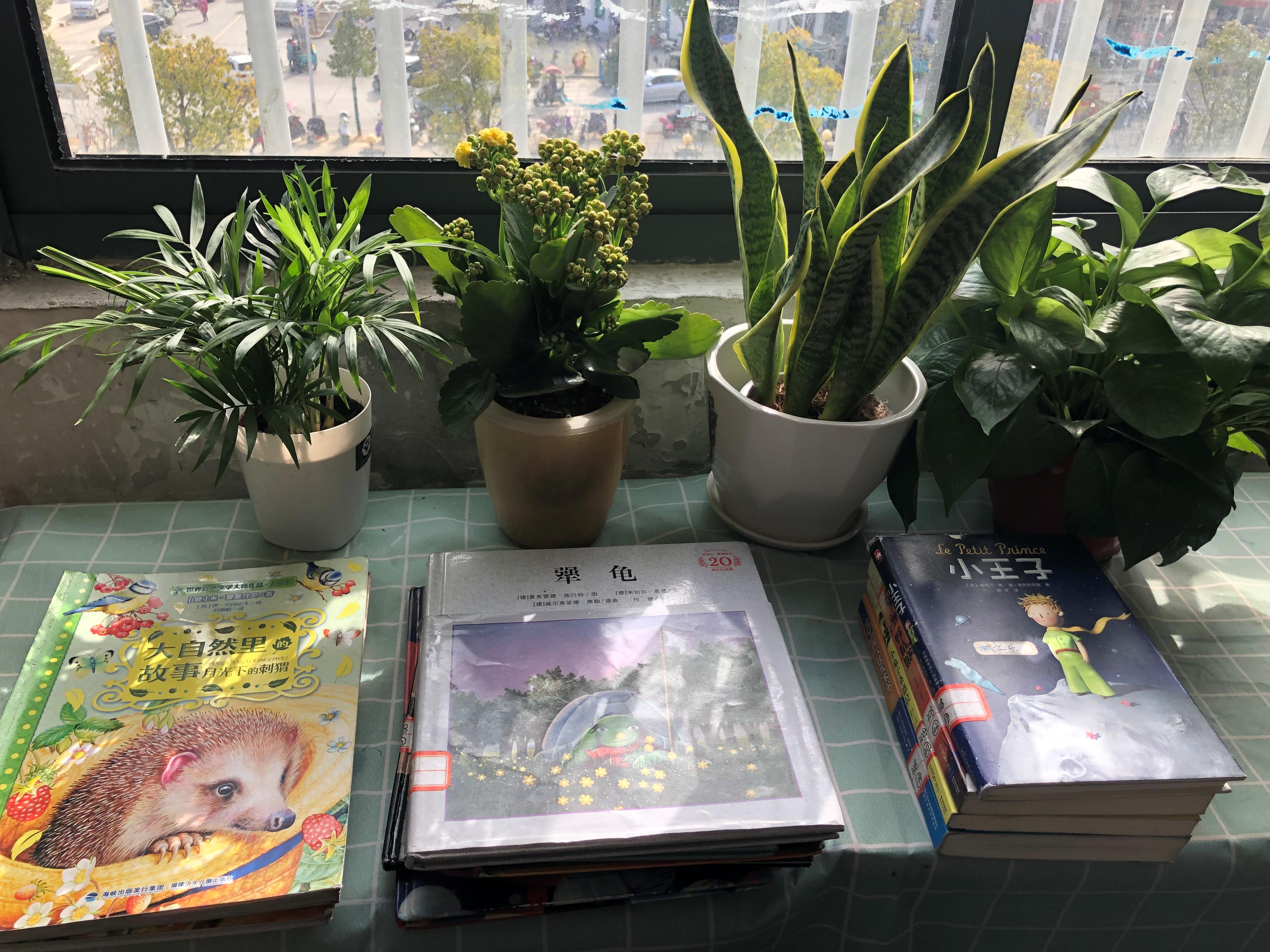 播下一颗种子收获一份快乐,播下一粒成长的种子