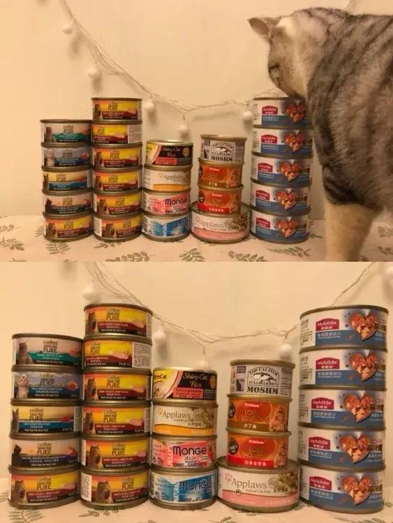 最新猫罐头推荐排行榜,什么猫罐头好养又便宜