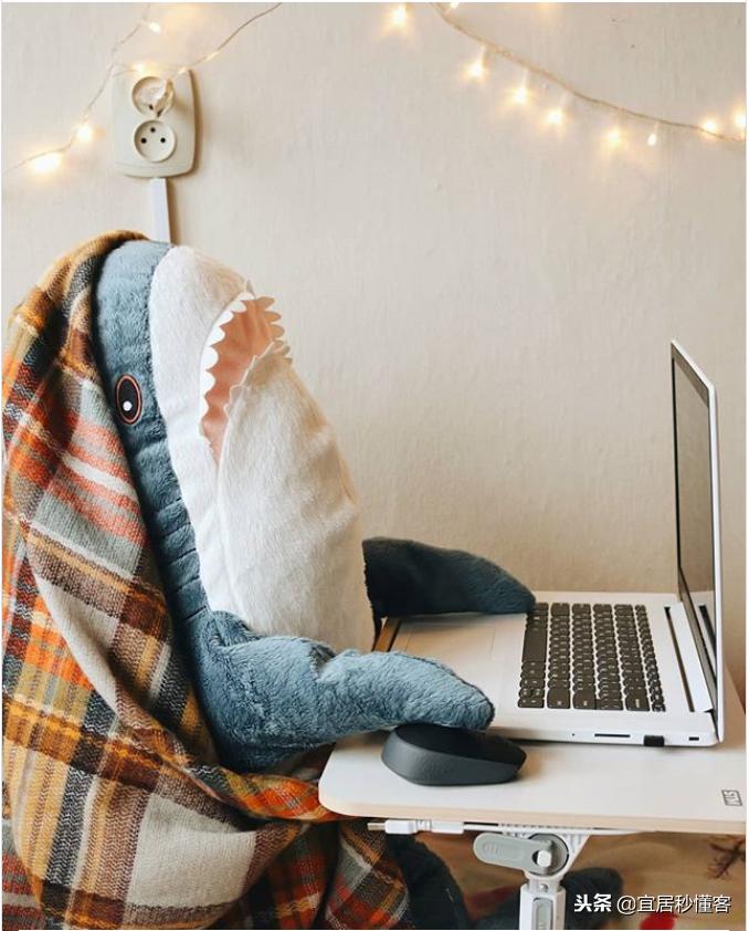 宜家小鲨鱼,为什么宜家鲨鱼火了