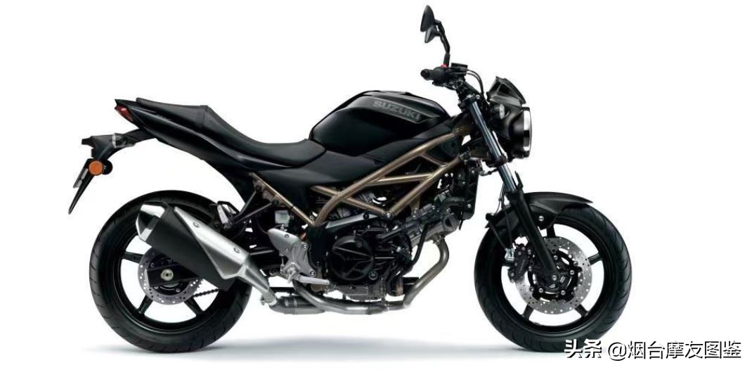 好久不见，铃木摩托国内发布V型双缸运动街车SV650/X