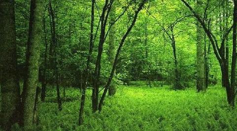 潮州十大名胜古迹,潮州市历史古迹有哪些